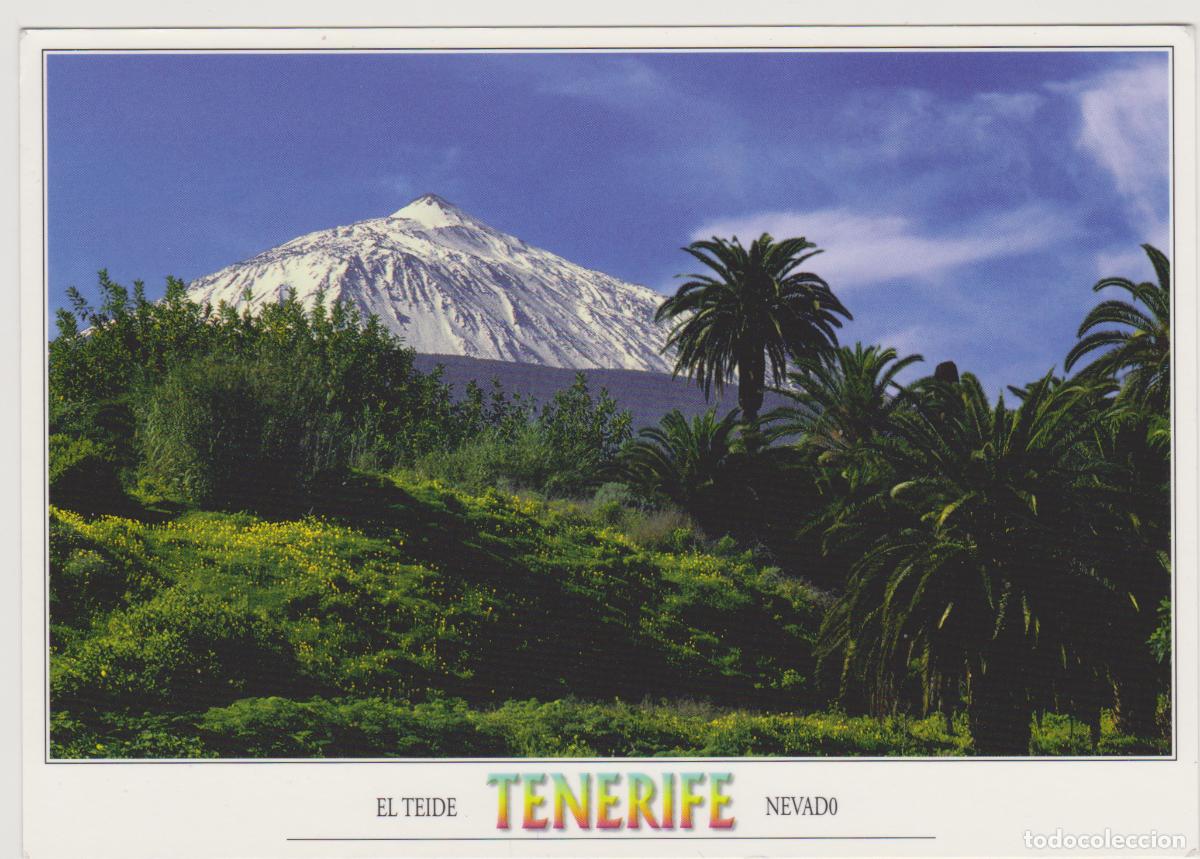 Postales: TARJETA POSTAL - TENERIFE - EL TEIDE NEVADO - SOFOTO S.L.