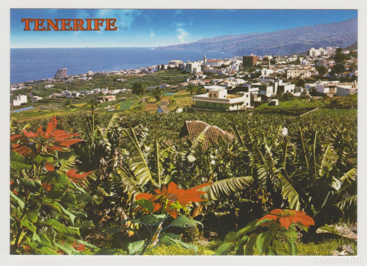 Postales: TARJETA POSTAL - CANARIAS - TENERIFE - LOS REALEJOS - 4179 - COLECCION PERLA