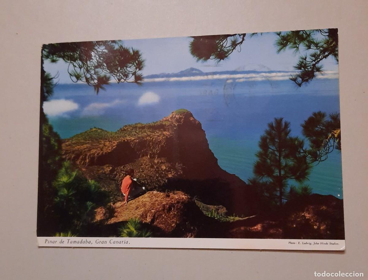Postcards: 1968 Pinar de Tamadaba Gran Canaria usado