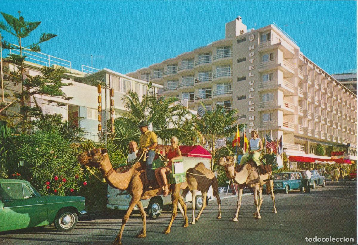 Postales: TENERIFE, PUERTO DE LA CRUZ, PASEO EN CAMELLOS - EDICIONES ANIBARRO N&ordm;22 - S/C