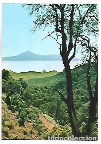 Postales: BARRANCO DE PAJARITO CON EL TEIDE AL FONDO.- GOMERA