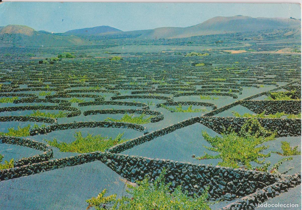 Postales: LANZAROTE, VI&Ntilde;EDOS ZONA ZUR - EDITA RAKER - CIRCULADA 1965