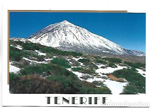 Postales: P.N. CA&Ntilde;ADAS DEL TEIDE.- TENERIFE