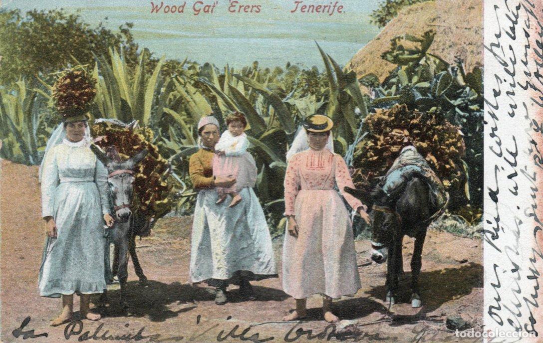Postales: BONITA POSTAL - TENERIFE - WOOD GAT&acute; ERERS