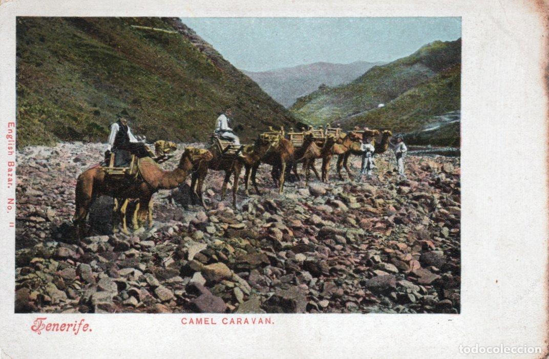 Postales: BONITA POSTAL - TENERIFE - CAMEL CARAVAN