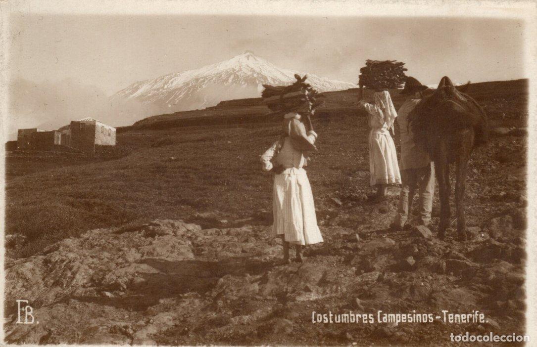 Postales: BONITA POSTAL - TENERIFE - COSTUMBRES CAMPESINOS