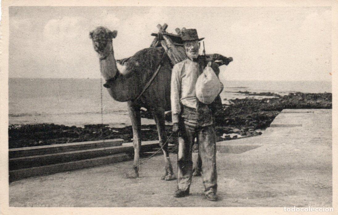 Postkarten: BONITA POSTAL - TENERIFE - TYPICOS DEL PAIS