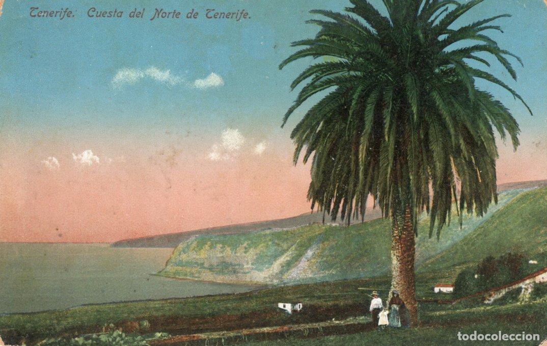 Postais: BONITA POSTAL - TENERIFE - CUESTA DEL NORTE DE TENERIFE - NOBREGA' S ENGLISH BAZAR