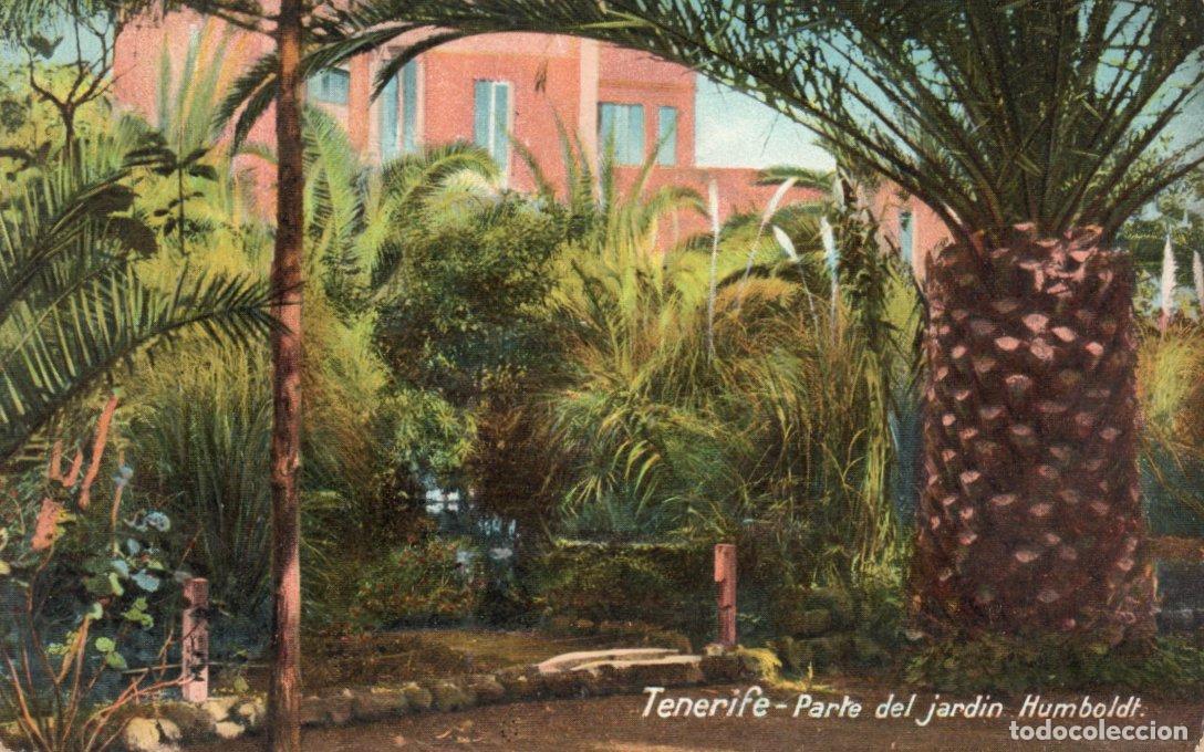 Postkarten: BONITA POSTAL - TENERIFE - PARTE DEL JARDIN HUMBOLDT