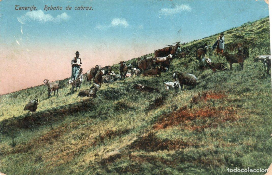 Postkarten: BONITA POSTAL - TENERIFE - REBA&Ntilde;O DE CABRAS