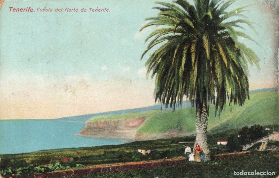 Postkarten: BONITA POSTAL - TENERIFE - CUESTA DEL NORTE DE TENERIFE