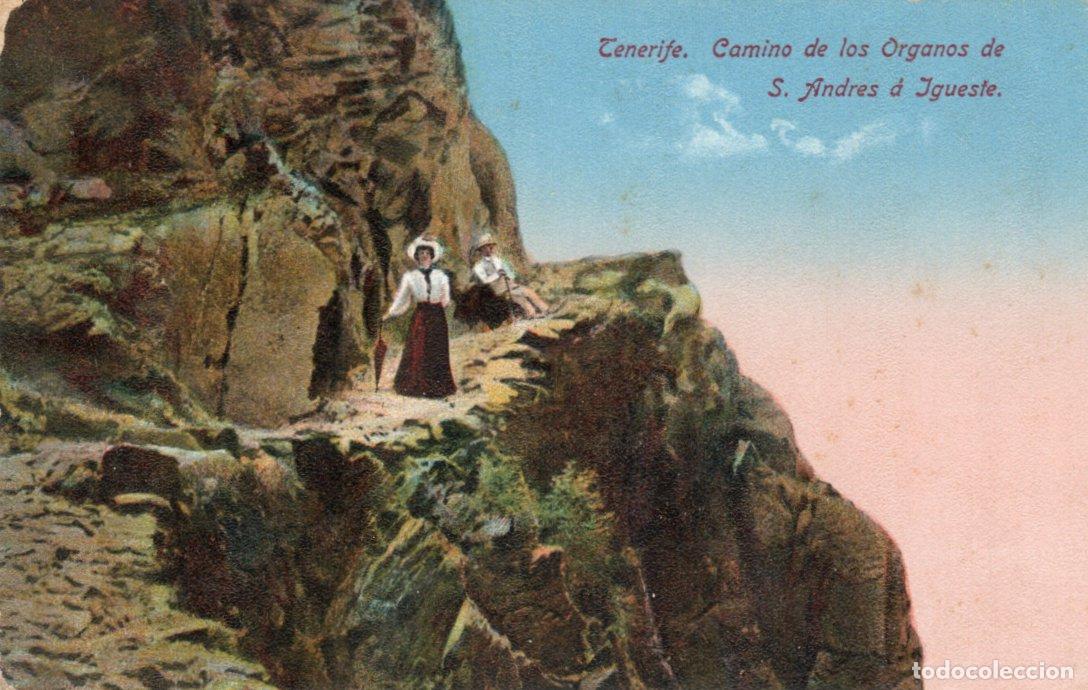 Postkarten: BONITA POSTAL - TENERIFE - CAMINO DE LOS ORGANOS DE S. ANDRES A IGUESTE