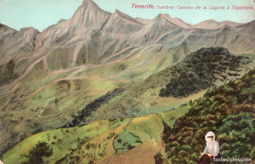 Postkarten: BONITA POSTAL - TENERIFE - CUMBRE - CAMINO DE LA LAGUNA A TAGANANA