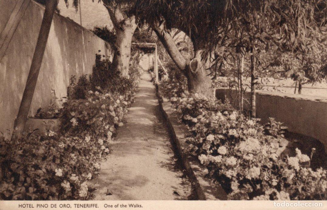 Postkarten: BONITA POSTAL - TENERIFE - HOTEL PINO DE ORO - ONE OF THE WALKS