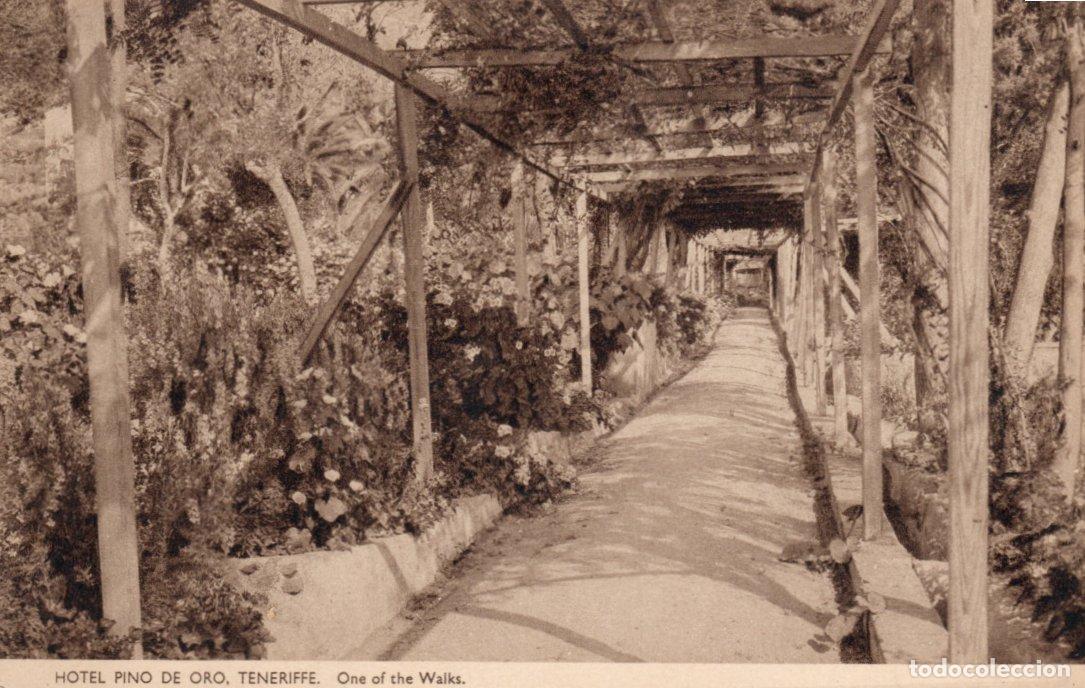 Postkarten: BONITA POSTAL - TENERIFE - HOTEL PINO DE ORO - ONE OF THE WALKS