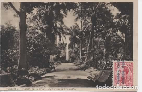 Postales: TENERIFE PUERTO DE LA CRUZ JARDIN ESCRITA