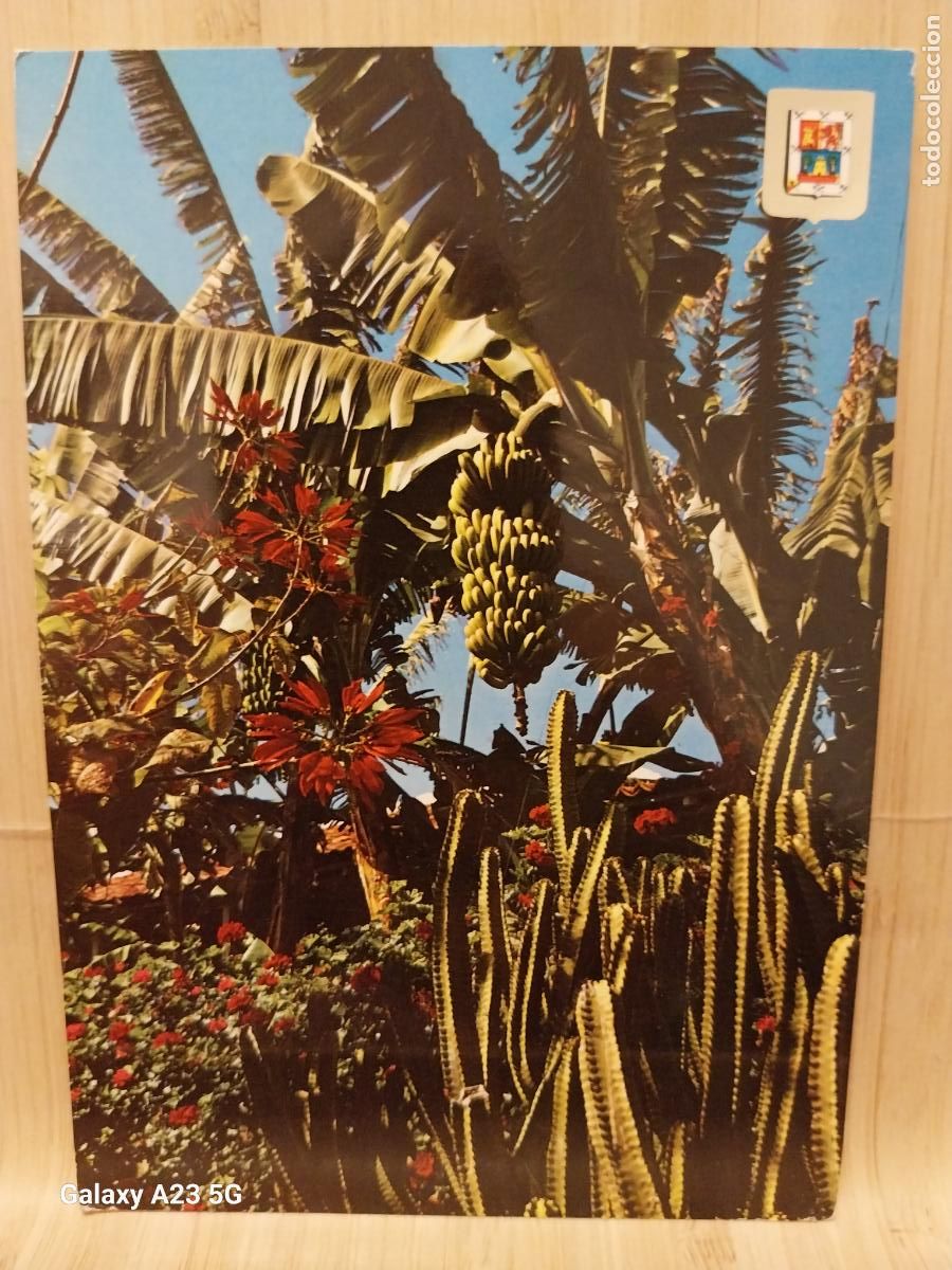 Postales: GRAN CANARIA PALMERA Y FLORES ED FISA 268 ESCRITA