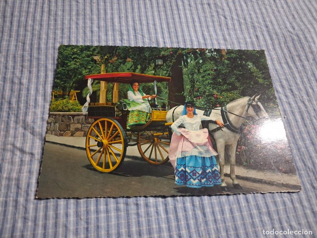 Postales: Postal moderna Canarias. Las Palmas. Carreta de Caballo. Estado ver imagen