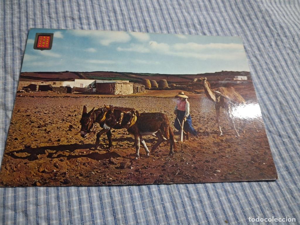 Postales: Postal moderna Canarias. Lanzarote. Faenas del campo. Estado ver imagen