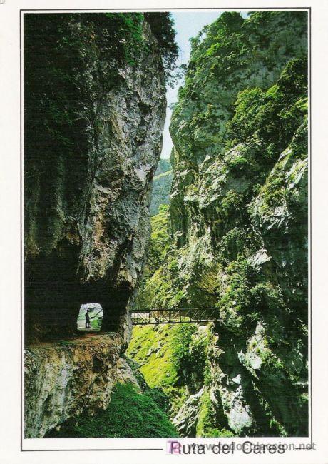 Cartes Postales: N. 59. PICOS DE EUROPA. DESFILADERO DEL RIO CARES. PUENTE DE LOS REBECOS. 1991. EDICIONES SANDI.