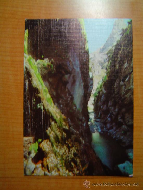 Cartes Postales: POSTAL PICOS DE EUROPA GARGANTA DE RIO CARES SIN CIRCULAR