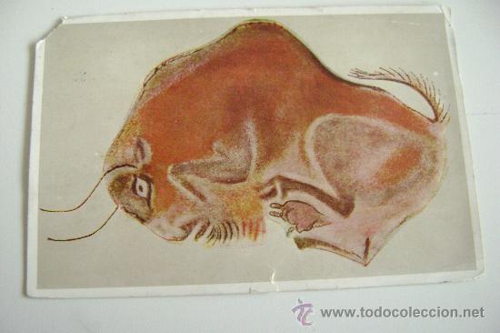 Cartoline: CUEVA DE ALTAMIRA .-06004