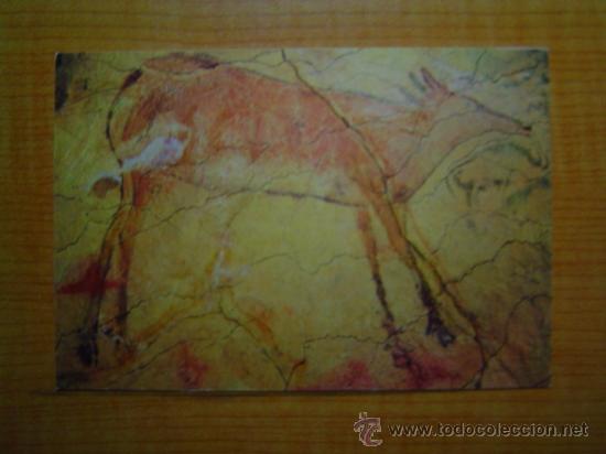 POSTAL GRAN CIERVA POLICROMADA SIN CIRCULAR