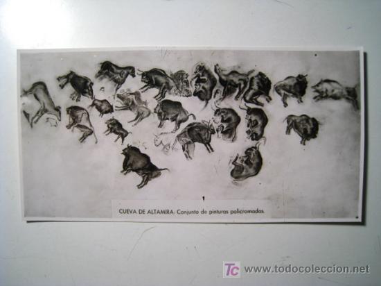 Postais: FOTOGRAFIA CUEVA ALTAMIRA: CONJUNTO PINTURAS