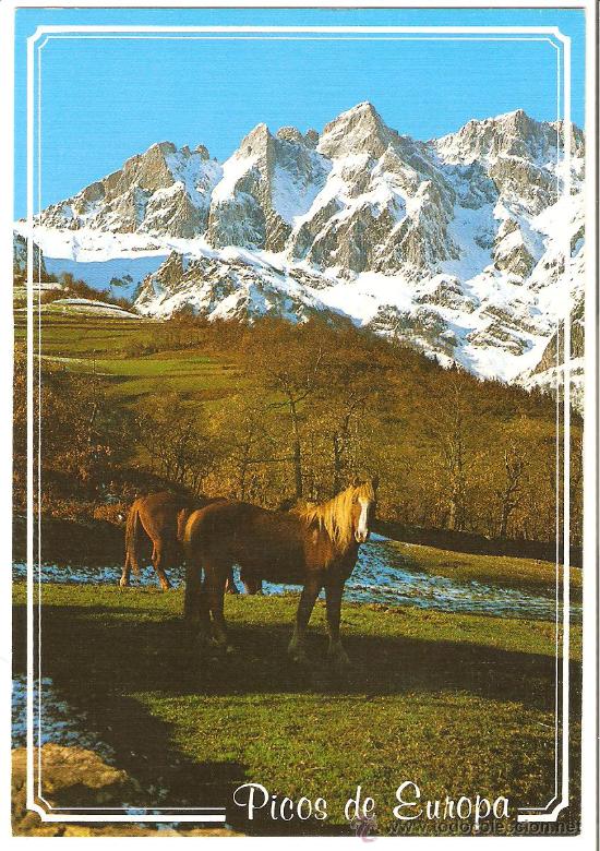 Postales: PICOS DE EUROPA. SANTANDER - Foto 1