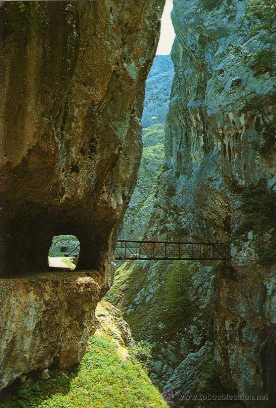 Postales: POSTAL PICOS DE EUROPA.GARGANTA DEL CARES. CANTABRIA.