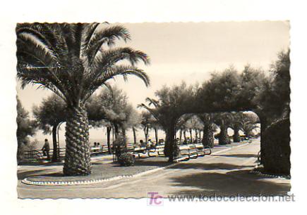 Postales: SANTANDER. JARDINES DE PIQUIO. - Foto 1