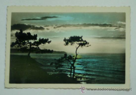 Postales: TARJETA POSTAL 	COMILLAS. CANTABRIA - Foto 1