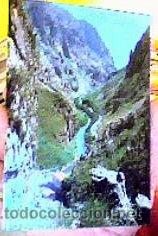 Postales: DESFILADERO DE LA HERMIDA(PICOS DE EUROPA).N&ordm;131.ED.BUSTAMANTE.CIRCULADA