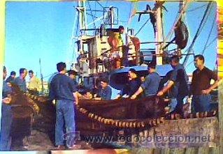 Cartes Postales: PREPARATIVOS PARA LA PESCA(SANTANDER).N&ordm;2057.ARRIBAS.1967.SIN CIRCULAR.