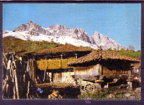 Postales: PICOS EUROPA SOTO DE VALDEON - VALLE VALDEON - HORCADO PAMBUCHES