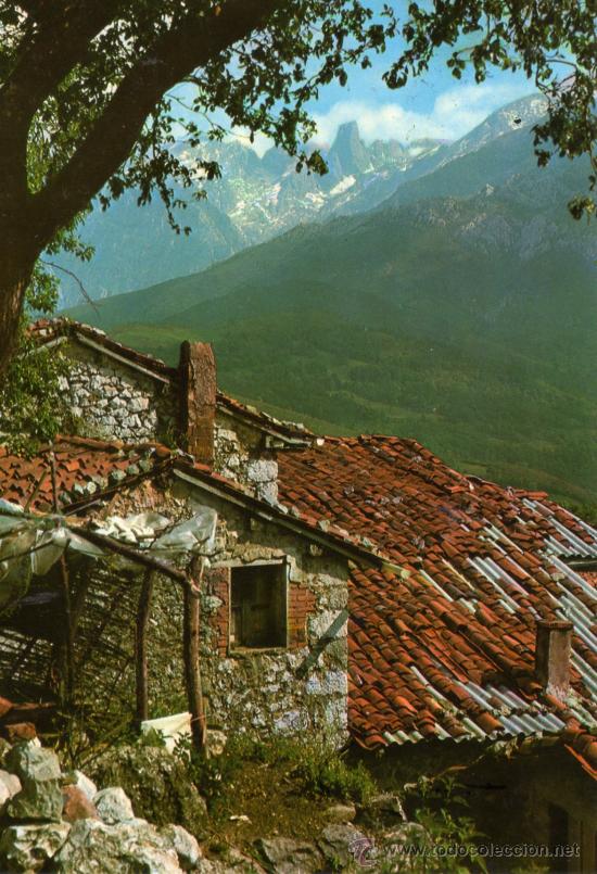 Postkarten: PICOS DE EUROPA N&ordm; 1170 ESCRITA CIRCULADA CON SELLO EDICIONES ALCE