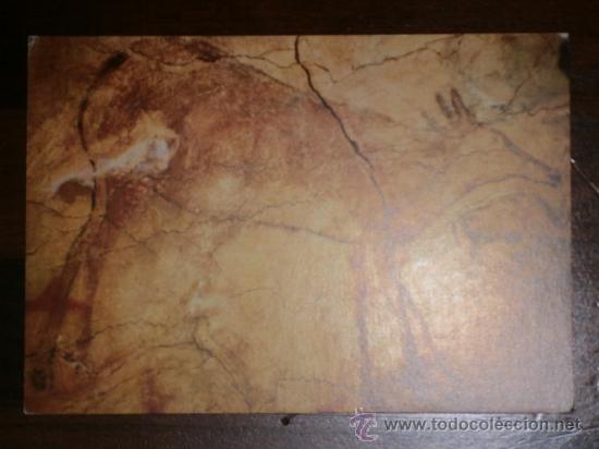Postais: Postal del Patronato de las cuevas de Altamira de Cantabria (Sin circular)