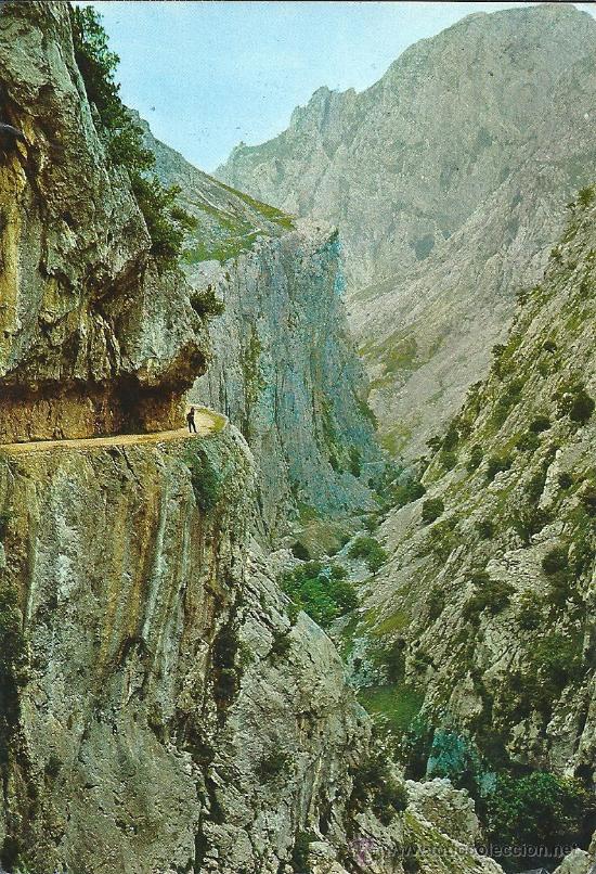 Postais: POME5 39215 Picos de Europa CANTABRIA