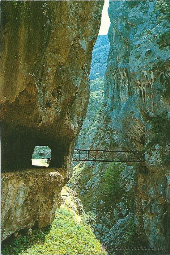 Postais: POME5 39218 Picos de Europa CANTABRIA ( A&Ntilde;O 1990 )