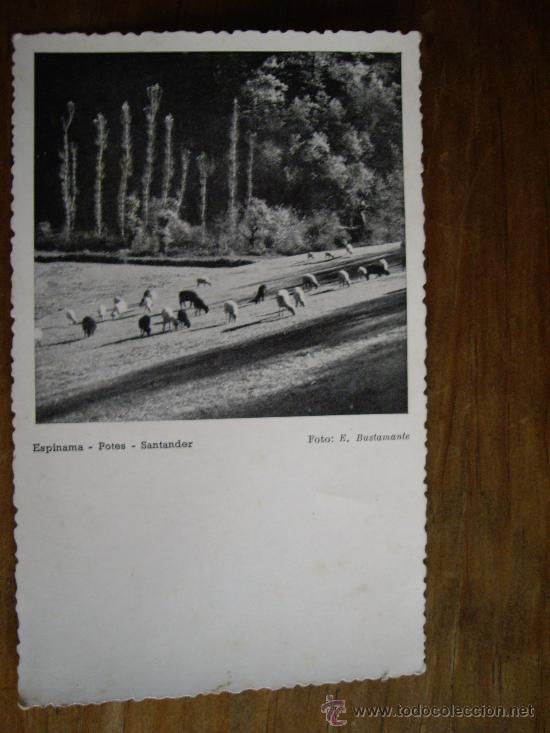 Postcards: POSTAL DE ESPINAMA -POTES -SANTANDER N&ordf;170 FOTOS E.BUSTAMANTE .  ENVIO GRATIS