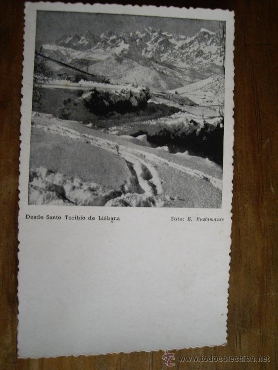 Postcards: POSTAL DESDE SANTO TORIBIO DE LIEBANA  -SANTANDER  FOTOS E.BUSTAMANTE .  ENVIO GRATIS