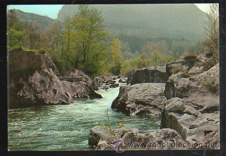 Cartoline: TARJETA POSTAL DEL RIO ASON - PARAISO DE LA PESCA. FOTO AUFER