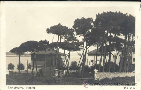 Postales: SANTANDER.- SARDINERO.- PINARES - Foto 1