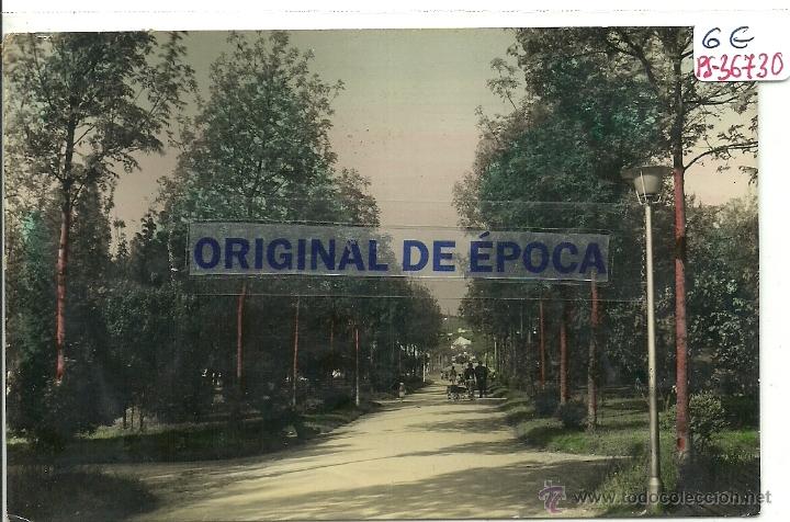Cartes Postales: (PS-36730)POSTAL DE TORRELAVEGA-UN RINCON DEL PARQUE