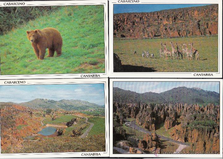 Cartes Postales: 4 POSTALES DEL PARQUE DE CABARCENO (OSO-JIRAFAS-PAISAJE-ROCASKARSTICAS