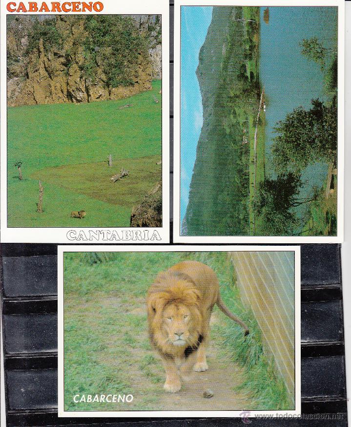 Cartes Postales: 3 POSTALES DEL PARQUE DE CABARCENO (LEON-LAGO-RECINTO LEONES)