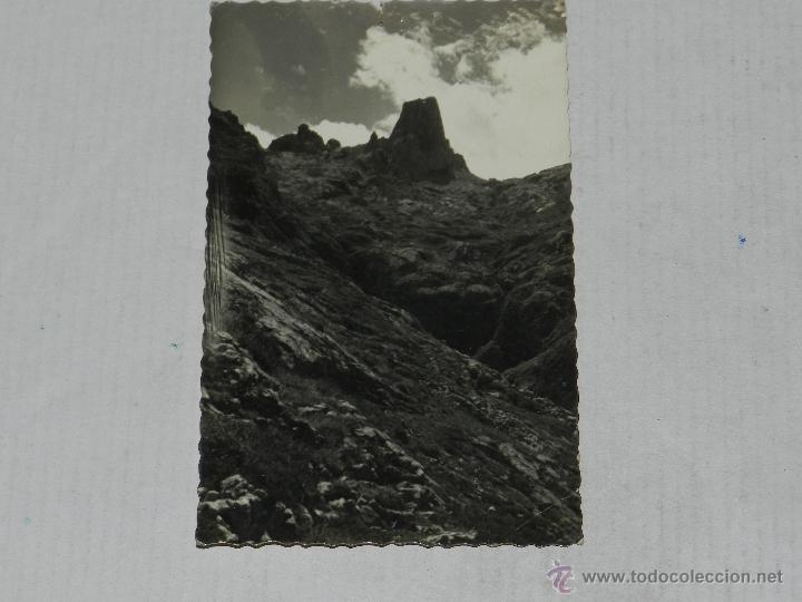 Postales: 8 CABRALES , NARANJO DE BULNES - Foto 1