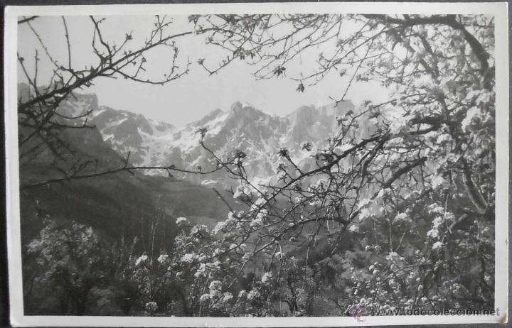 Postcards: (11934)POSTAL ESCRITA,PAISAJE,&iquest;PICO CORISCAO,CANTABRIA?1957,CONSERVACION: