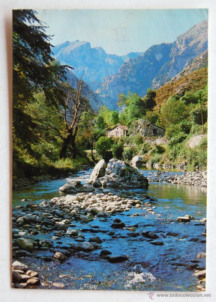 Postales: POSTAL DEL DESFILADERO DE LA HERMIDA Y RIO DEVA (CANTABRIA). - Foto 1