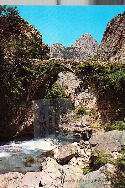 Cartoline: POSTAL - PICOS DE EUROPA - DESFILADERO DEL CARES PUENTE EL HAYA RUTA DEL NARANJO - NO CIRCULADA